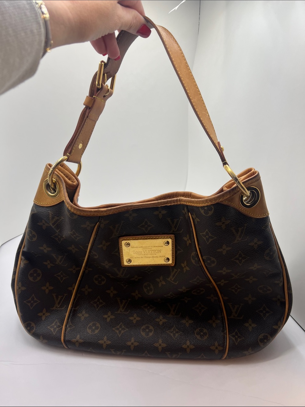 Louis Vuitton Monogram Canvas Hobo Shoulder Bag in Brown and Tan